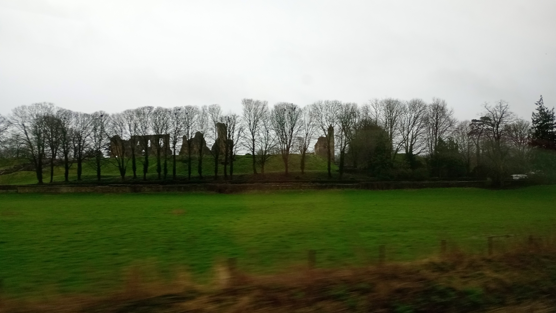 Crappy photo taken from the train of Sherbourne Old Castle through some trees