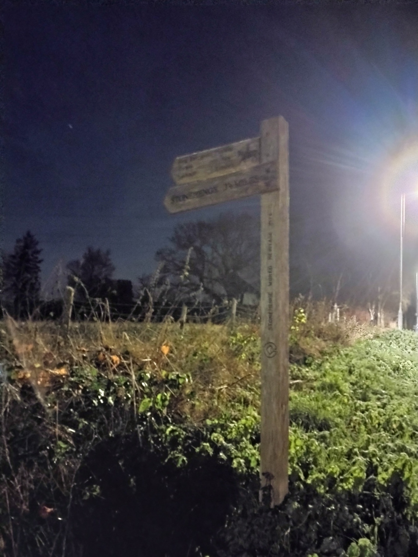 A wooden signpost stands in a grassy, dimly lit area at night near a bright streetlight.