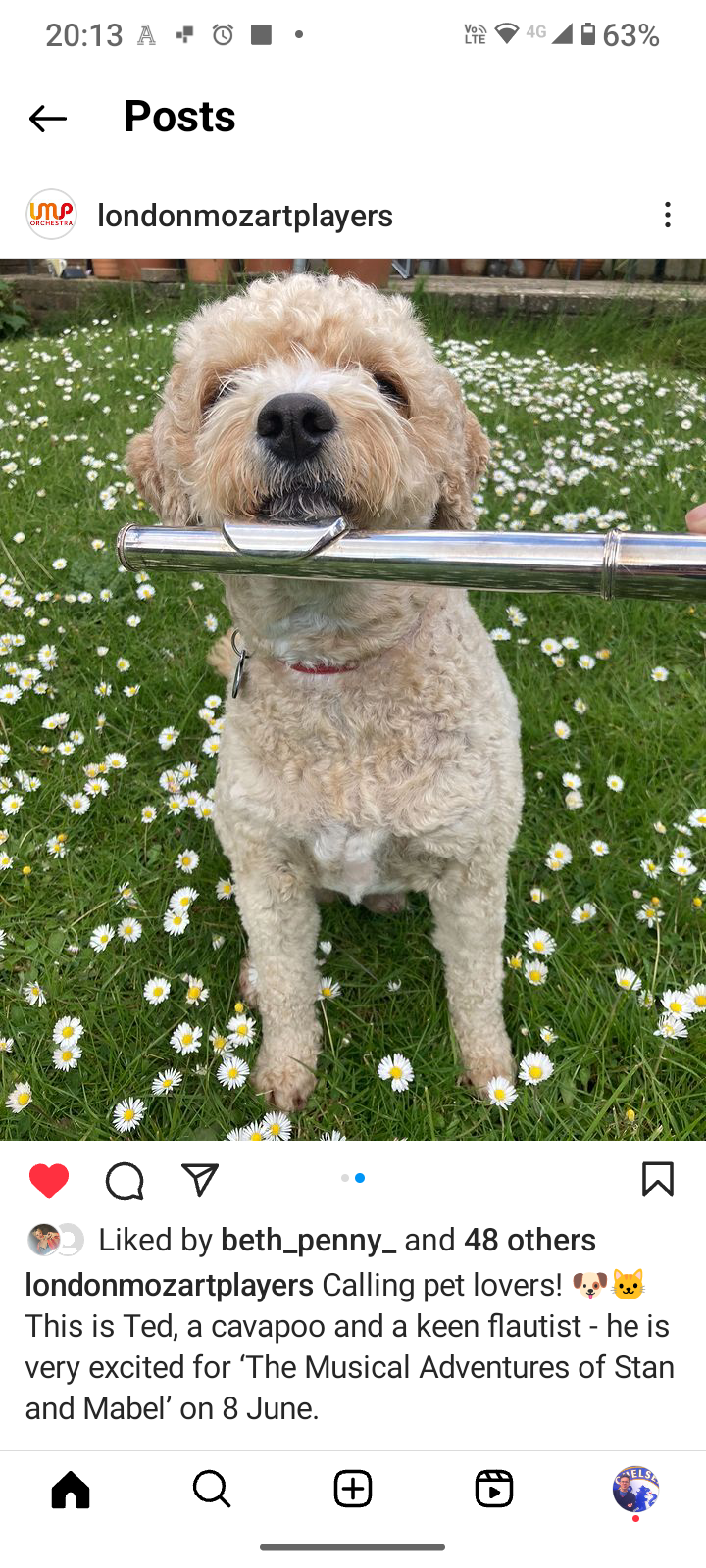 Screenshot of our dog pretending to play the flute