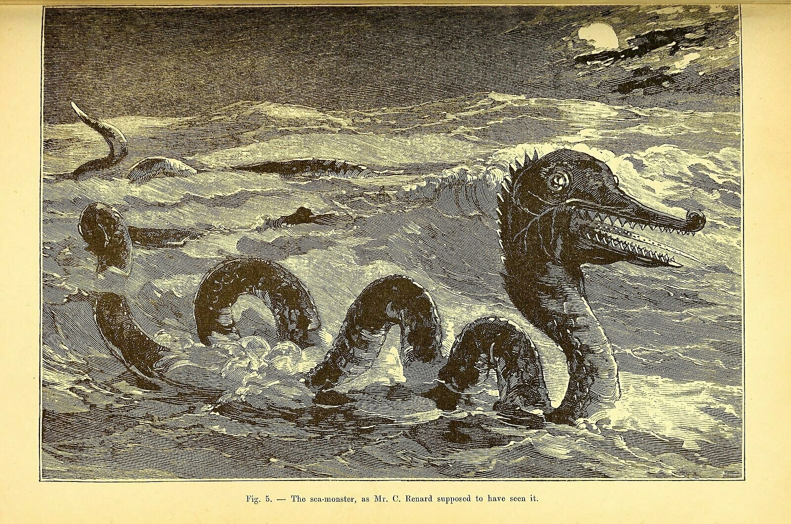 A sea monster - not necessarily an Olliphéist, sadly